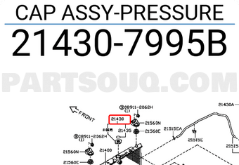 Nissan 214307995B CAP ASSY-PRESSURE