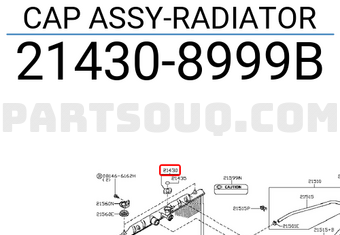 Nissan 214308999B CAP ASSY-RADIATOR