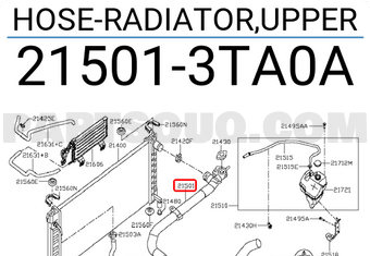 Nissan 215013TA0A HOSE-RADIATOR,UPPER