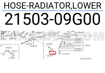 Nissan 2150309G00 HOSE-RADIATOR,LOWER