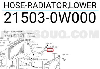 Nissan 215030W000 HOSE-RADIATOR,LOWER