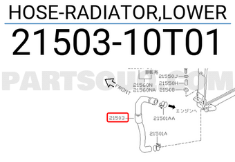 Nissan 2150310T01 HOSE-RADIATOR,LOWER