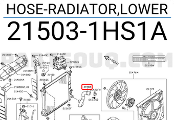 Nissan 215031HS1A HOSE-RADIATOR,LOWER