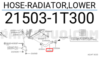 Nissan 215031T300 HOSE-RADIATOR,LOWER