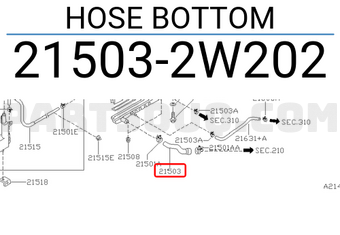 Nissan 215032W202 HOSE BOTTOM