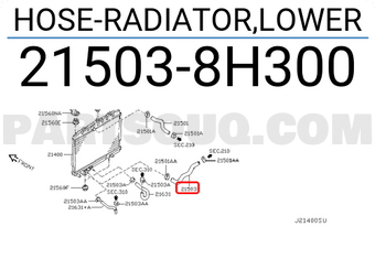 Nissan 215038H300 HOSE-RADIATOR,LOWER