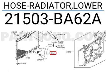 Nissan 21503BA62A HOSE-RADIATOR,LOWER