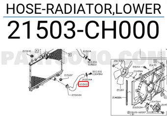 Nissan 21503CH000 HOSE-RADIATOR,LOWER