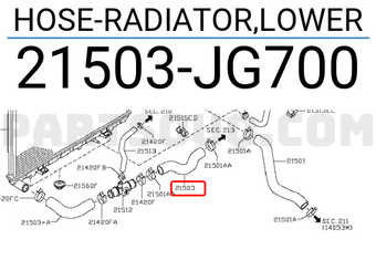 Nissan 21503JG700 HOSE-RADIATOR,LOWER