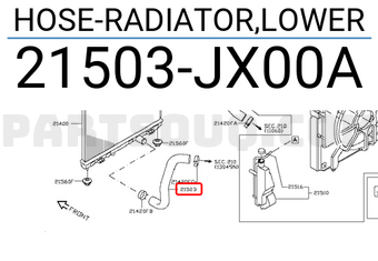 Nissan 21503JX00A HOSE-RADIATOR,LOWER