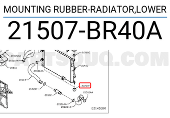 Nissan 21507BR40A MOUNTING RUBBER-RADIATOR,LOWER
