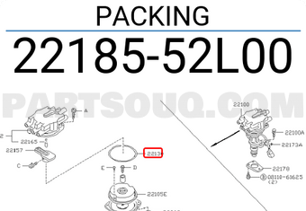 Nissan 2218552L00 PACKING