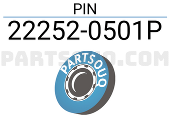 Nissan 222520501P PIN