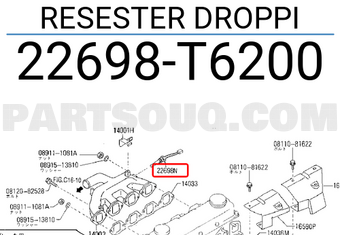 Nissan 22698T6200 RESESTER DROPPI