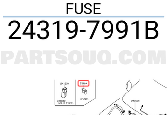 Nissan 243197991B FUSE