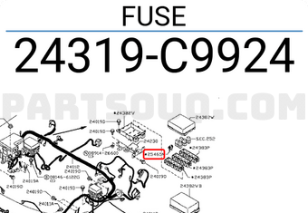 Nissan 24319C9924 FUSE