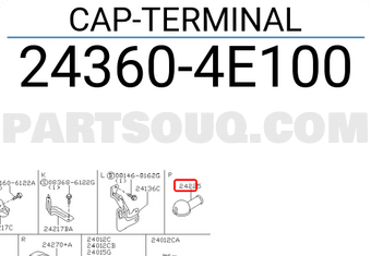 Nissan 243604E100 CAP-TERMINAL