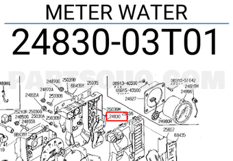 Nissan 2483003T01 METER WATER