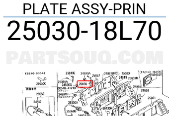 Nissan 2503018L70 PLATE ASSY-PRIN