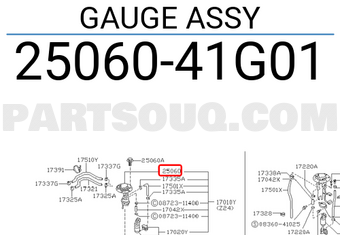 Nissan 2506041G01 GAUGE ASSY