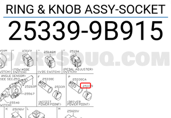 Nissan 253399B915 RING & KNOB ASSY-SOCKET