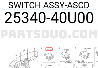 Nissan 2534040U00 SWITCH ASSY-ASCD