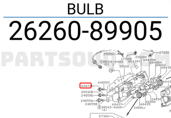 Nissan 2626089905 BULB