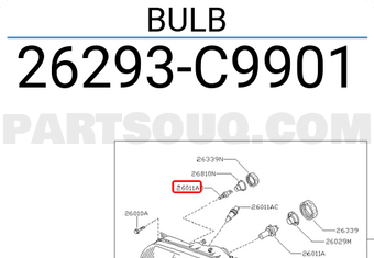 Nissan 26293C9901 BULB