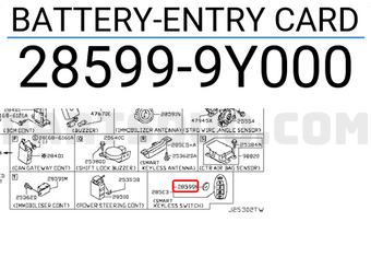 Nissan 285999Y000 BATTERY-ENTRY CARD