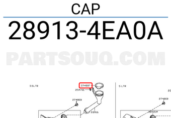 Nissan 289134EA0A CAP