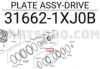 Nissan 316621XJ0B PLATE ASSY-DRIVE