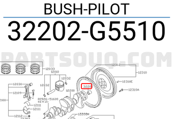 Nissan 32202G5510 BUSH-PILOT