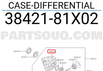 Nissan 3842181X02 CASE-DIFFERENTIAL