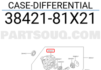 Nissan 3842181X21 CASE-DIFFERENTIAL