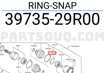 Nissan 3973529R00 RING-SNAP