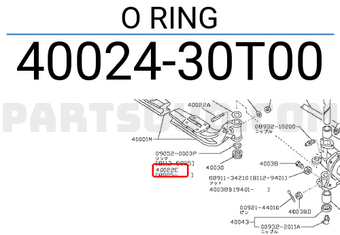 Nissan 4002430T00 O RING