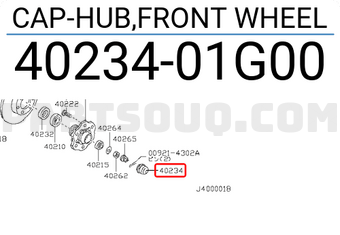 Nissan 4023401G00 CAP-HUB,FRONT WHEEL