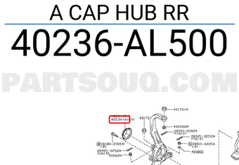 Nissan 40236AL500 A CAP HUB RR