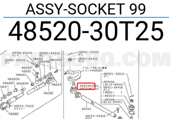 Nissan 4852030T25 ASSY-SOCKET 99