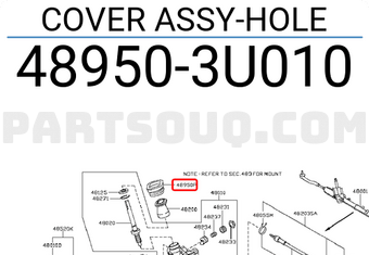 Nissan 489503U010 COVER ASSY-HOLE