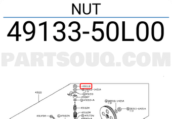 Nissan 4913350L00 NUT