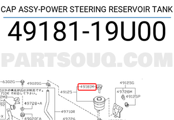 Nissan 4918119U00 CAP ASSY-POWER STEERING RESERVOIR TANK