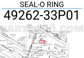Nissan 4926233P01 SEAL-O RING