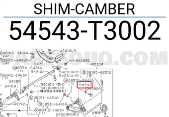 Nissan 54543T3002 SHIM-CAMBER