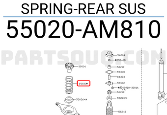 Nissan 55020AM810 SPRING-REAR SUS