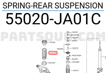 Nissan 55020JA01C SPRING-REAR SUSPENSION