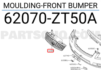 Nissan 62070ZT50A MOULDING-FRONT BUMPER