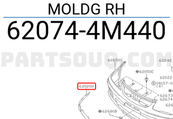 Nissan 620744M440 MOLDG RH