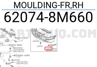 Nissan 620748M660 MOULDING-FR,RH