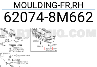 Nissan 620748M662 MOULDING-FR,RH